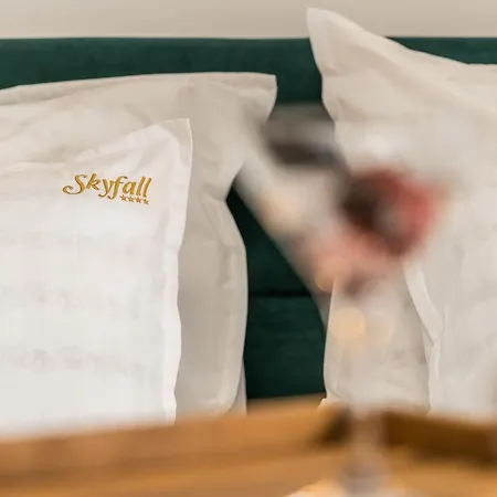 Skyfall * 비빈제